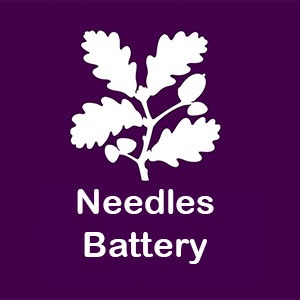 Logo for 